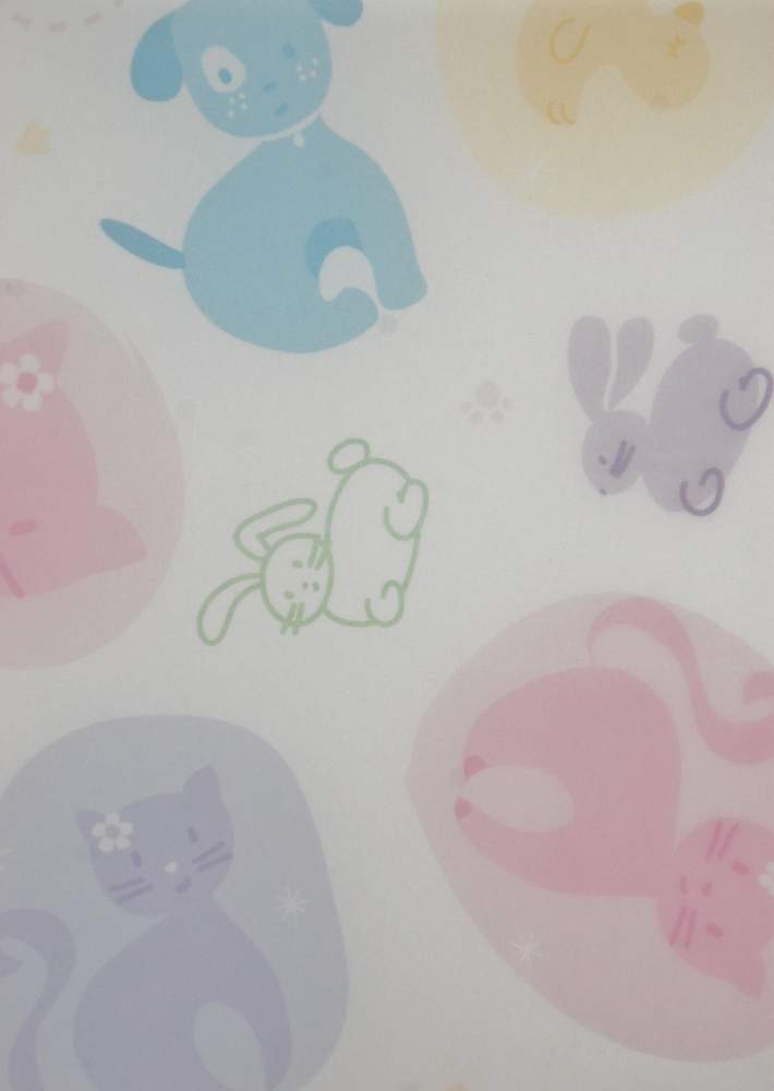 Baby Vellum - A4 Vellum