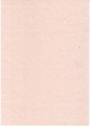 Coral C6 Envelope