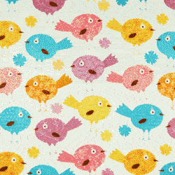 Coloured Birdies