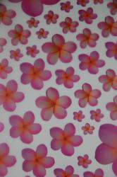 Frangipani Vellum - Pink