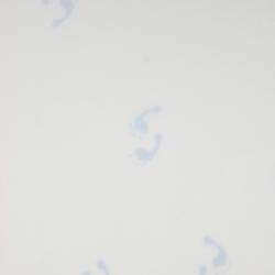 Baby Feet Blue Vellum
