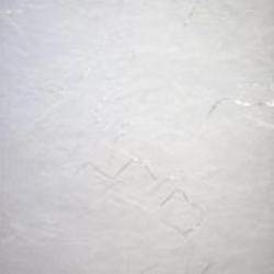 Unryushi Metal Thread