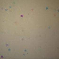 Inclusions Paper