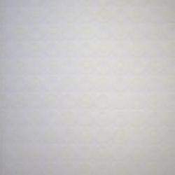 Retro Chic Vellum
