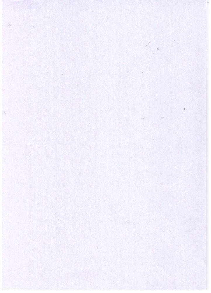 Crystal C5 Metallic Envelope Crystal