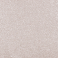 White Zebra