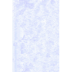 Blue-Roses-DoubleSided-A4-paper