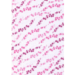 Blossom-Vellum