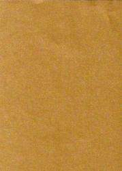 Pearla-Gold-11B-Env