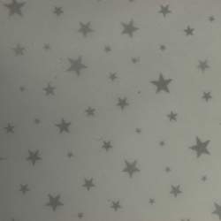 Silver-SmallStars-Vellum