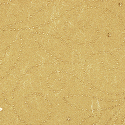 Beige/Gold-Flourish-Paper