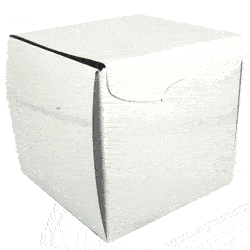 Cupcake Box White