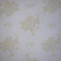 Park Lane Vellum