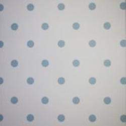 Platonic Dotti Paper