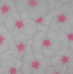 Pink-Frangipani-on-White-Paper 