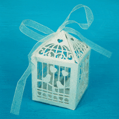Birdcage Box