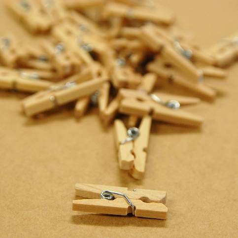 Mini Wooden Pegs