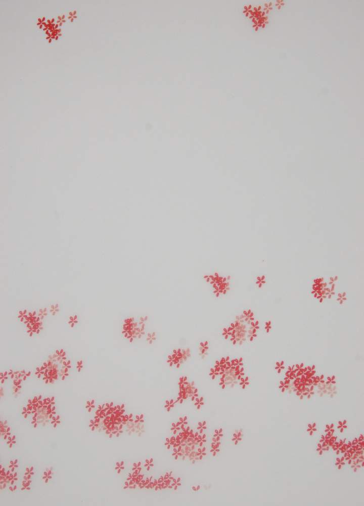 Red Posies Vellum 20 SHEET BULK PACK